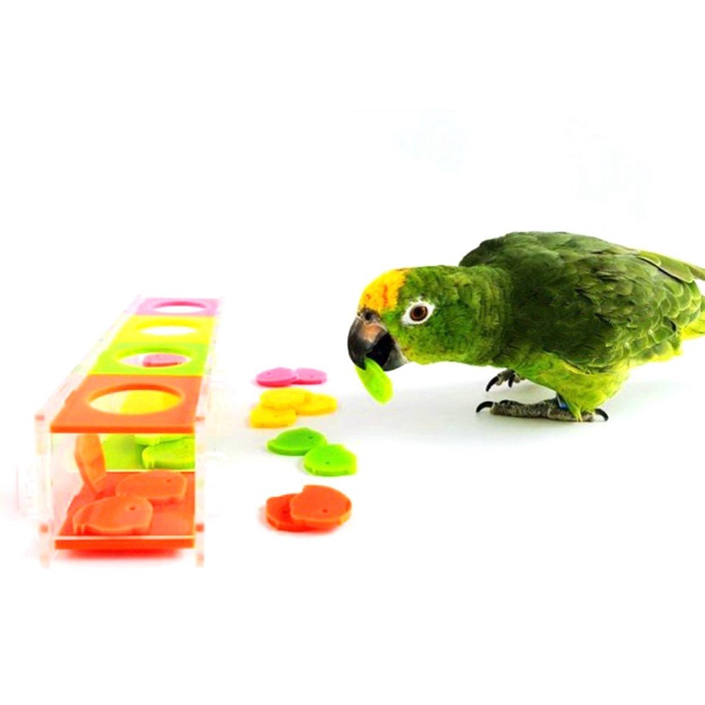 LLOYD Đồ Chơi Tương Tác Vui Nhộn Dành Cho Vẹt