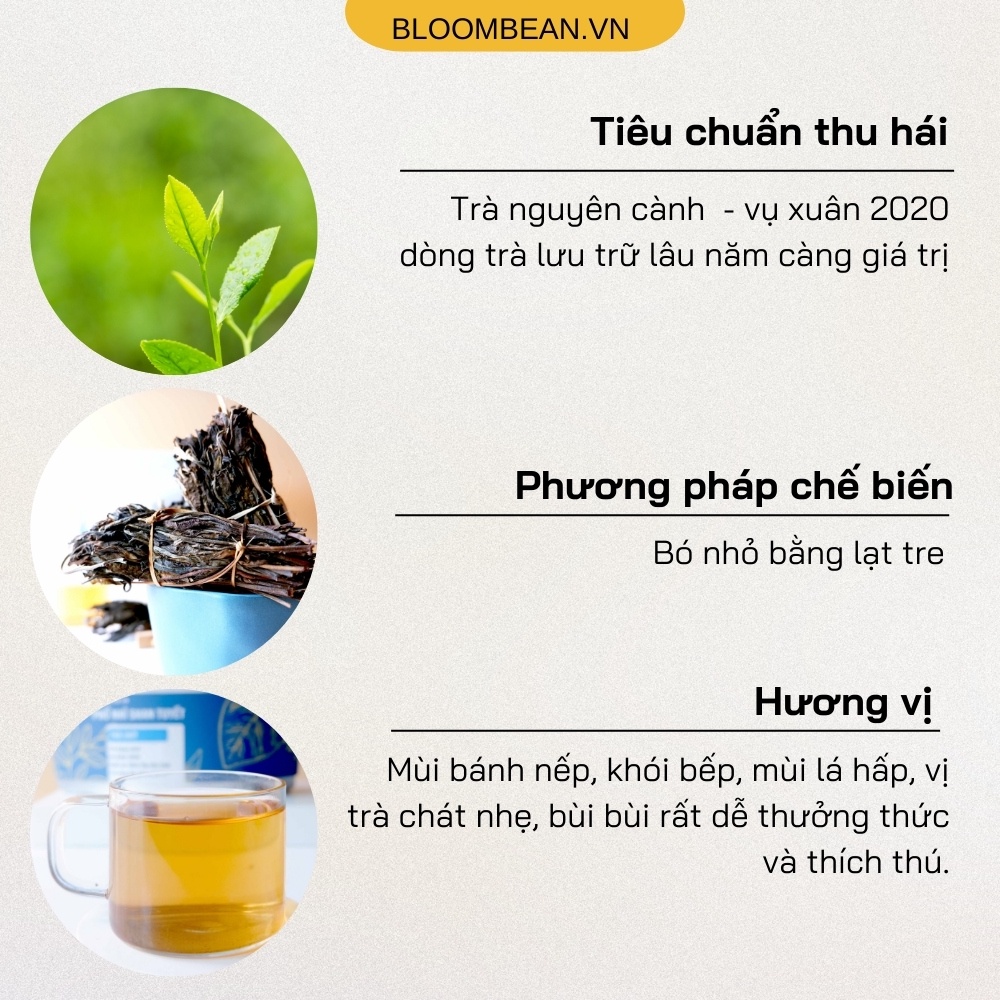 Trà Chít  -  Trà Shan Tuyết hữu cơ - Bloombean