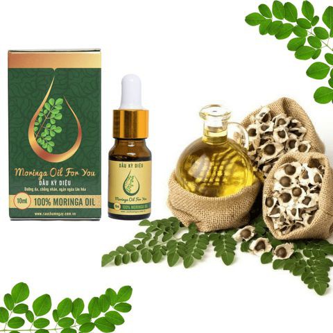 Tinh dầu Chùm ngây (Moringa Oil)