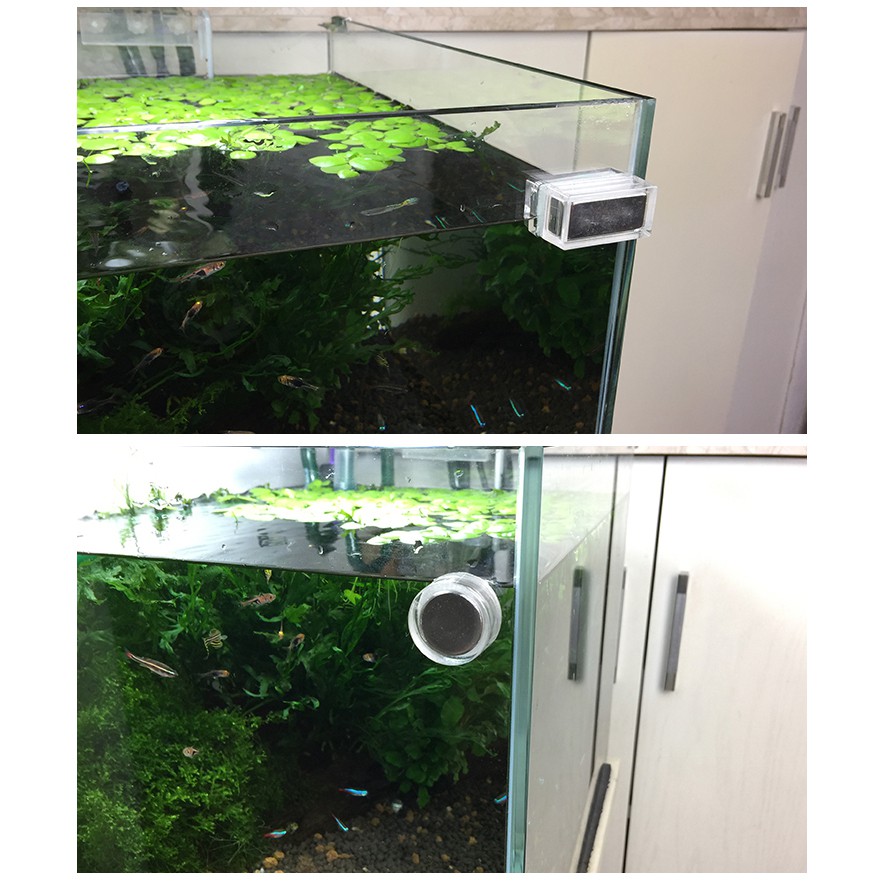 Nam Châm Chùi Kính Chihiros Mini/Nano - Hít Chà Magnet Cleaner Cho Bể Cá