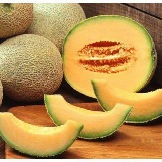 Hạt giống Dưa Lưới Tròn 10 Hạt