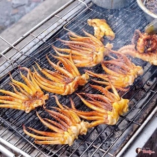Râu mực to 1 kg
