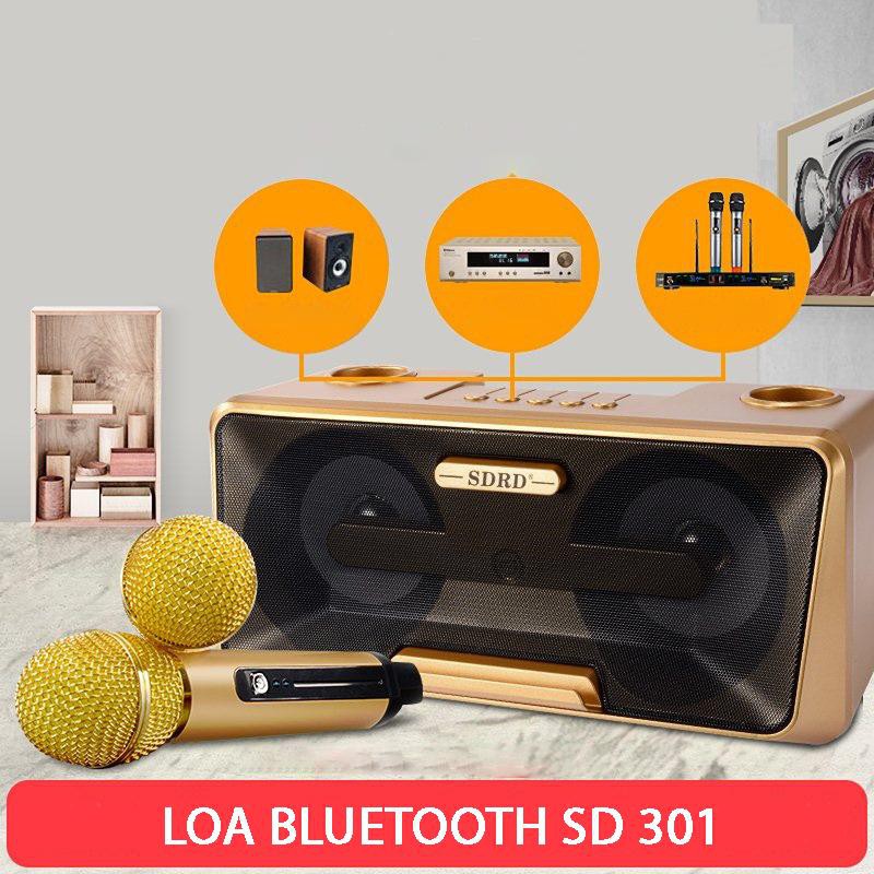 Loa Karaoke SD 301 - SD 306 - SD 309  Kèm 2 Micro Không Dây tích hợp bluetooth 4.0 - usb - thẻ nhớ