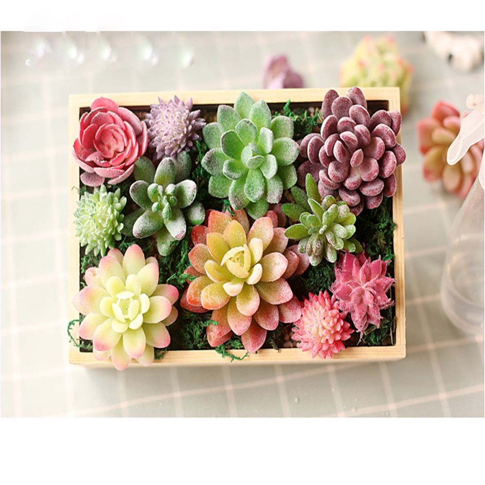 Cây sen đá nhân tạo đa sắc dùng trang trí độc đáo