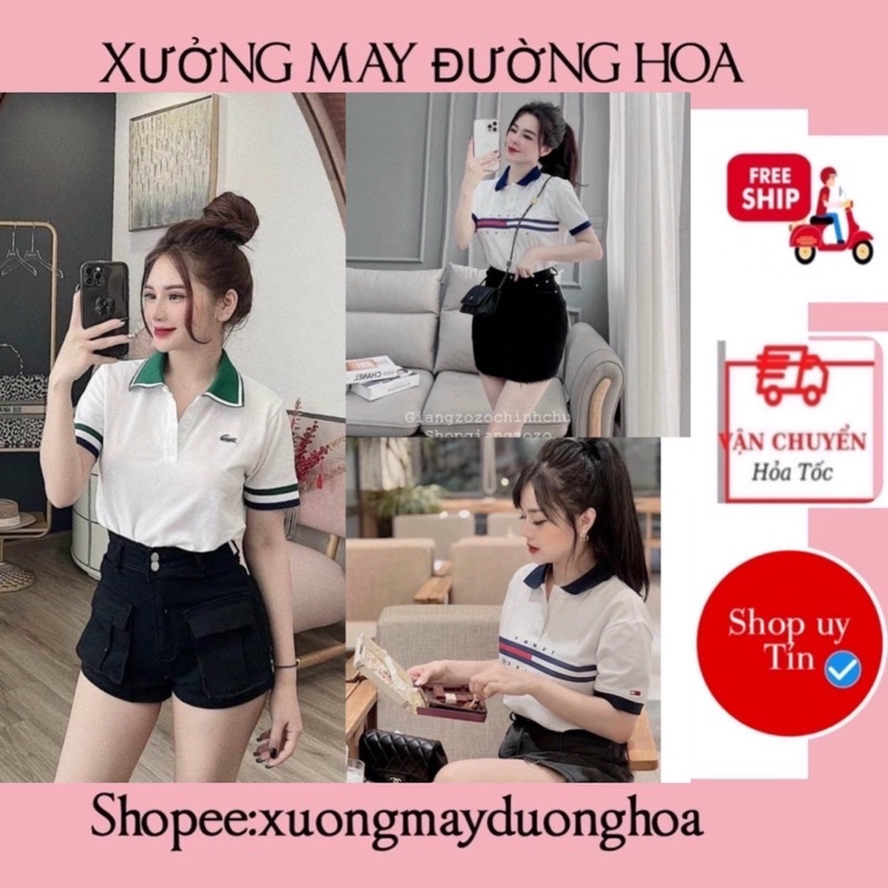 Áo polo nữ chữ Tomy phối kẻ đen đỏ siêu đẹp (kèm video ảnh thật)