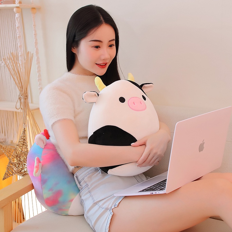 Gối Ôm Nhồi Bông Thiết Kế Dễ Thương Xinh Xắn