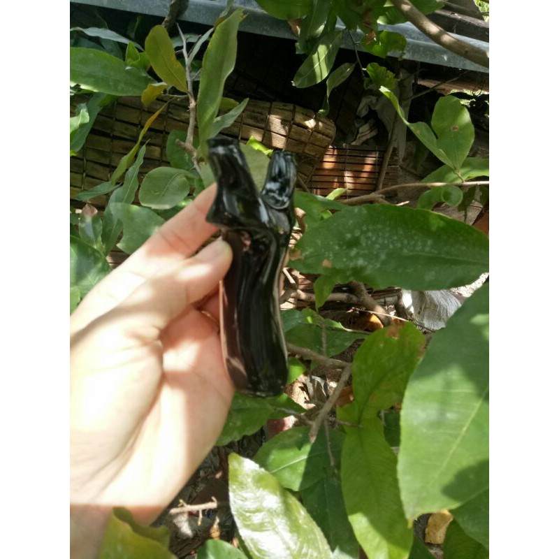 Ná sừng trâu, ghép sương sừng- chạc 6