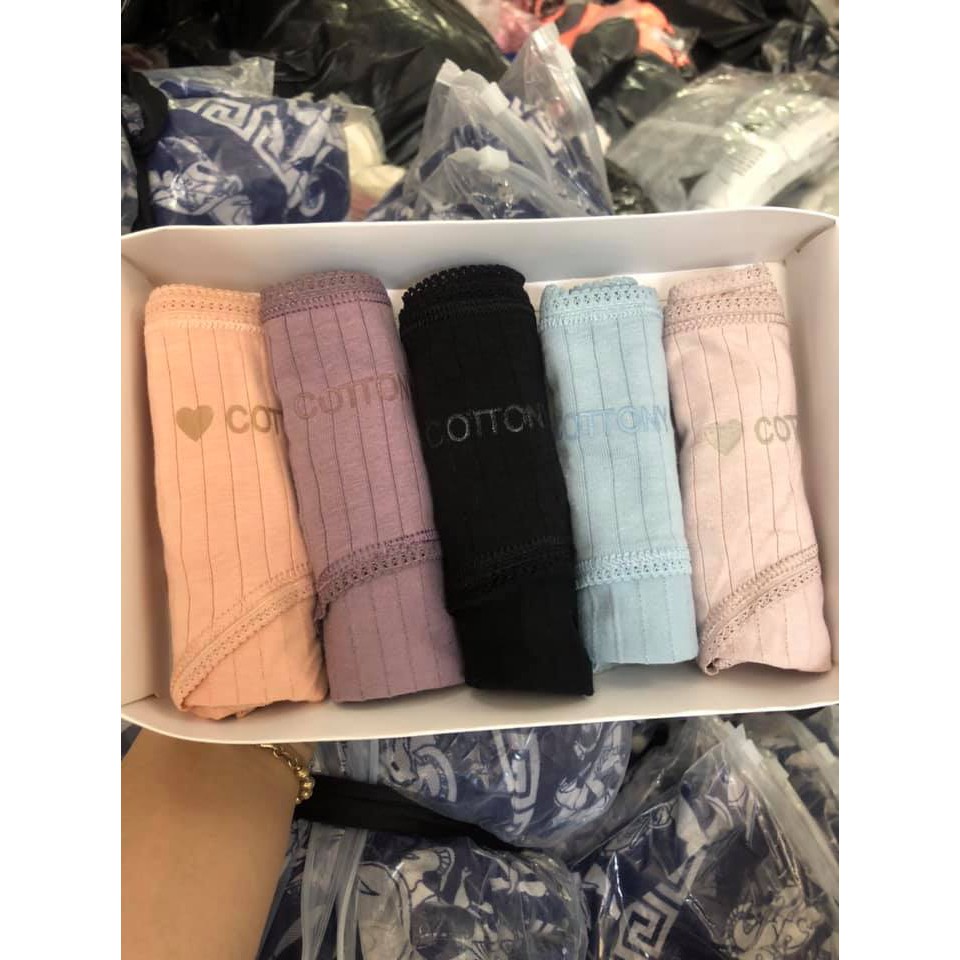 LỐ 10C chiếc quần lót Cotton tăm viền ren siêu thoáng 050
