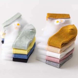Tất lụa ren hoa cúc TN26