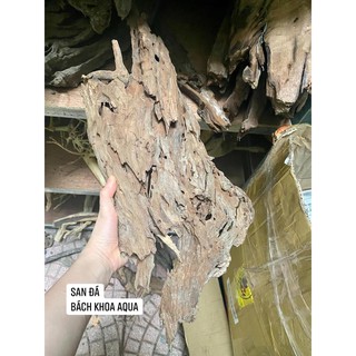 Lũa san đá miếng và cành