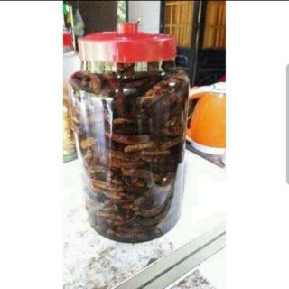 Chuối hột rừng Bình Thuận 1kg
