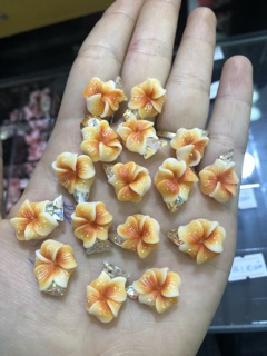 Hoa nhà e . Chụp hơi dìm tí