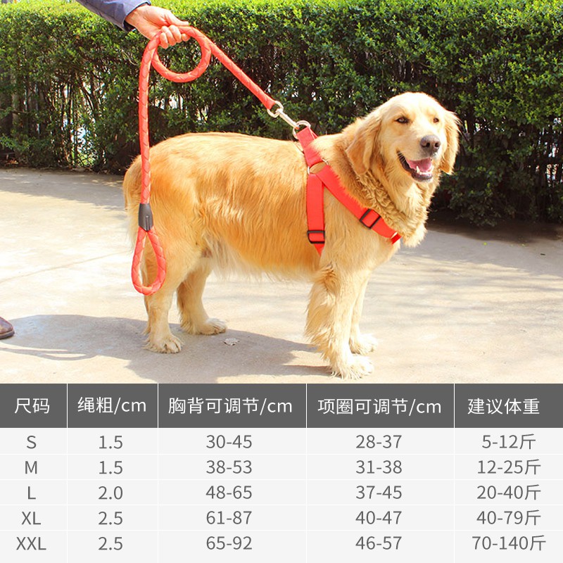 Dây xích chất lượng cao cho cún