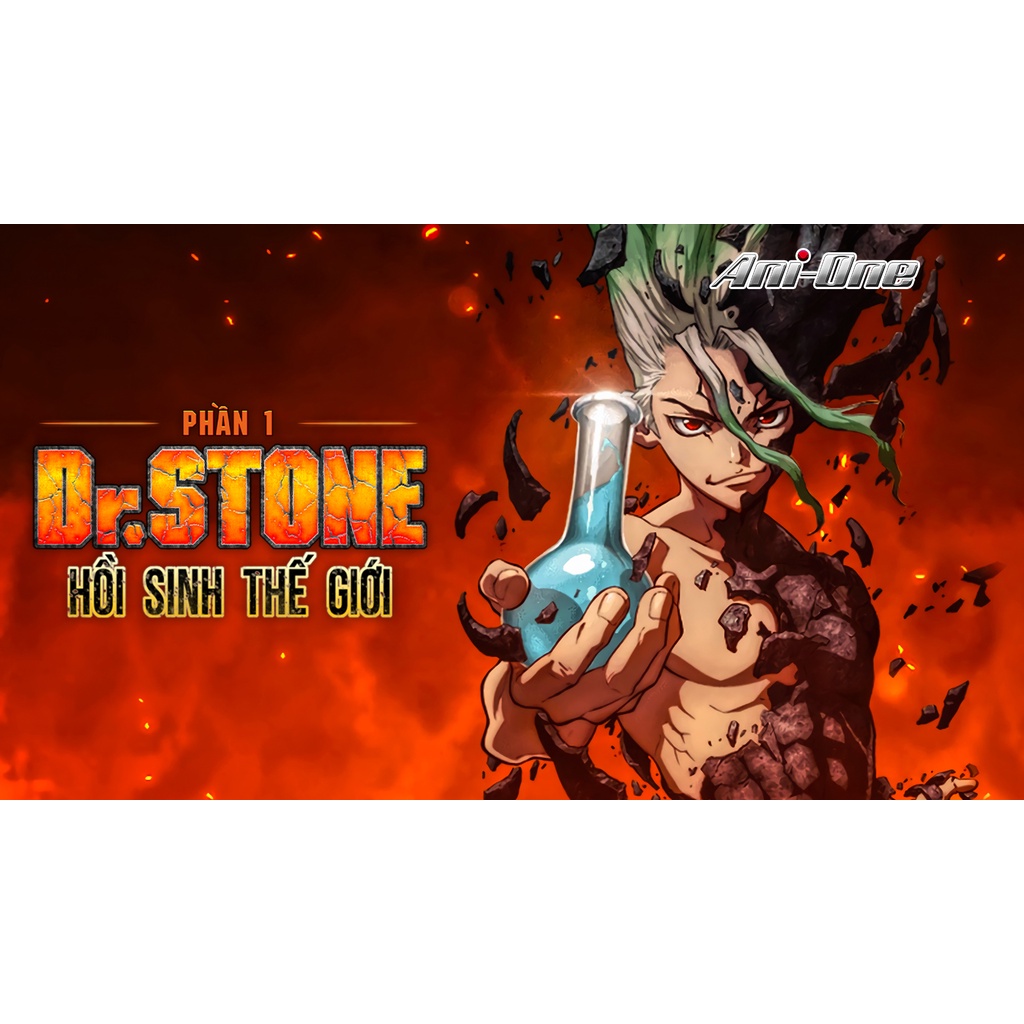 Combo Khung hình- poster DR. Stone đủ 21q+ thêm