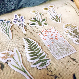 Set 8 sticker Small Plants Wild Flowers phong cách Retro vintage dùng để trang trí sổ, notebook, bullet journal