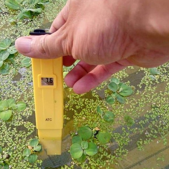 Bút đo độ pH cho nước , khi nuôi ốc , ếch , cá , lươn ( hàng chính hãng )