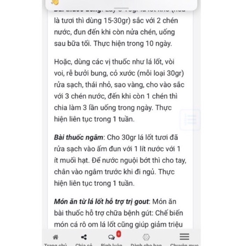Combo Chậu gồm 5 cây lá lốt