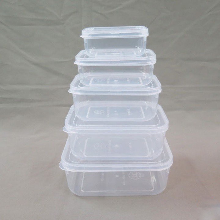 Bộ 5 hộp lạnh bầu đựng thức ăn Việt Nhật -Hộp trữ đồ đông đồ ăn dặm cho bé an toàn tiện lợi TTS 6685