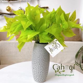 Cây Giả - Vạn Niên Thanh Lá Vàng
