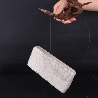 Cuộn Dây Câu Cá Trong Suốt 100m