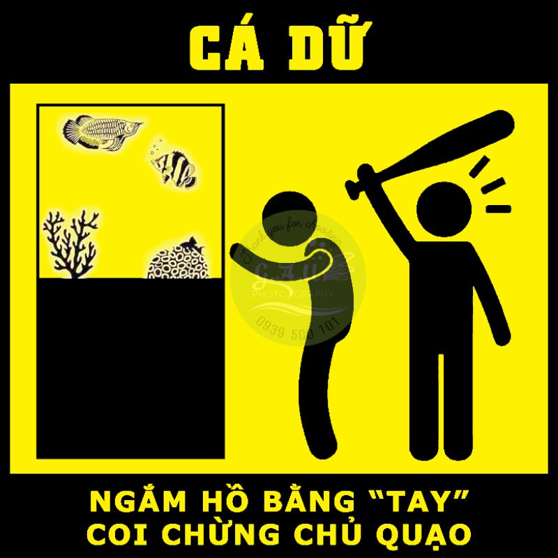 Sticker thế hệ mới - cắt laser - có sẵn keo