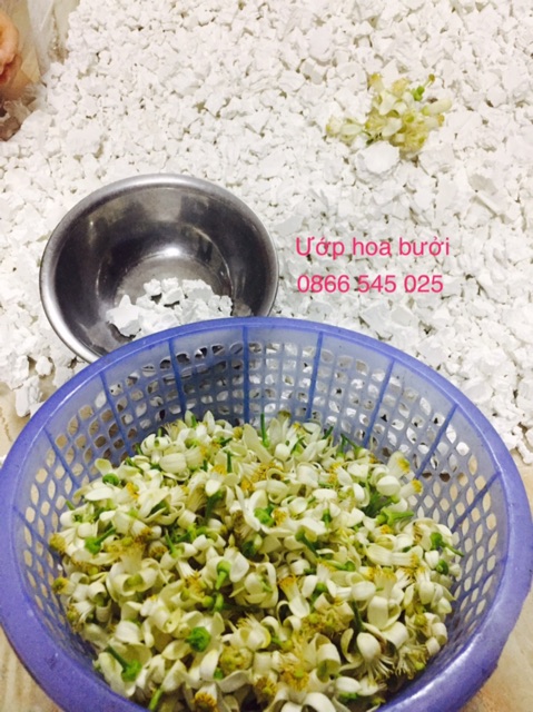 1Kg Bột sắn dây nguyên chất Hà Nội (ATTP) | BigBuy360 - bigbuy360.vn