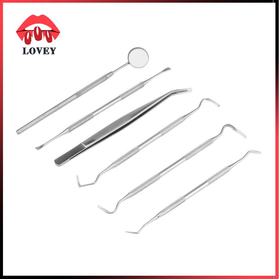 lovey★Professional 6 Pcs/Set High Quality Stainless Steel Dental Tools Kit With Bag