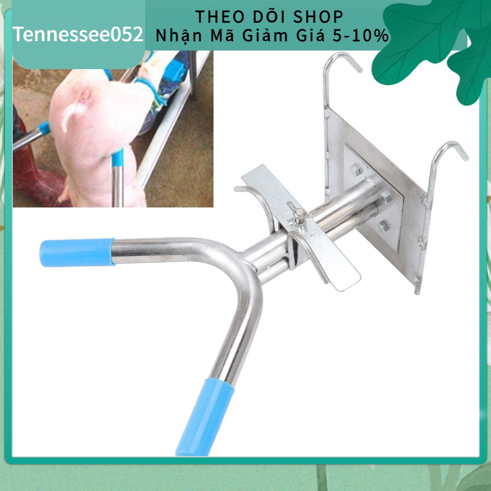 Giá đỡ thiến heo con treo tường bằng thép không gỉ cố định cho Thiến trang trại chăn nuôi