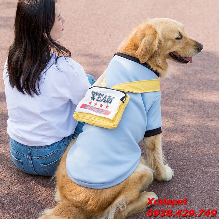 Áo Thun Kèm Túi Team Đeo Sành Điệu Cho Chó Lớn mang lại sự sành điệu cho thú cưng của bạn – Xudapet - SP000652