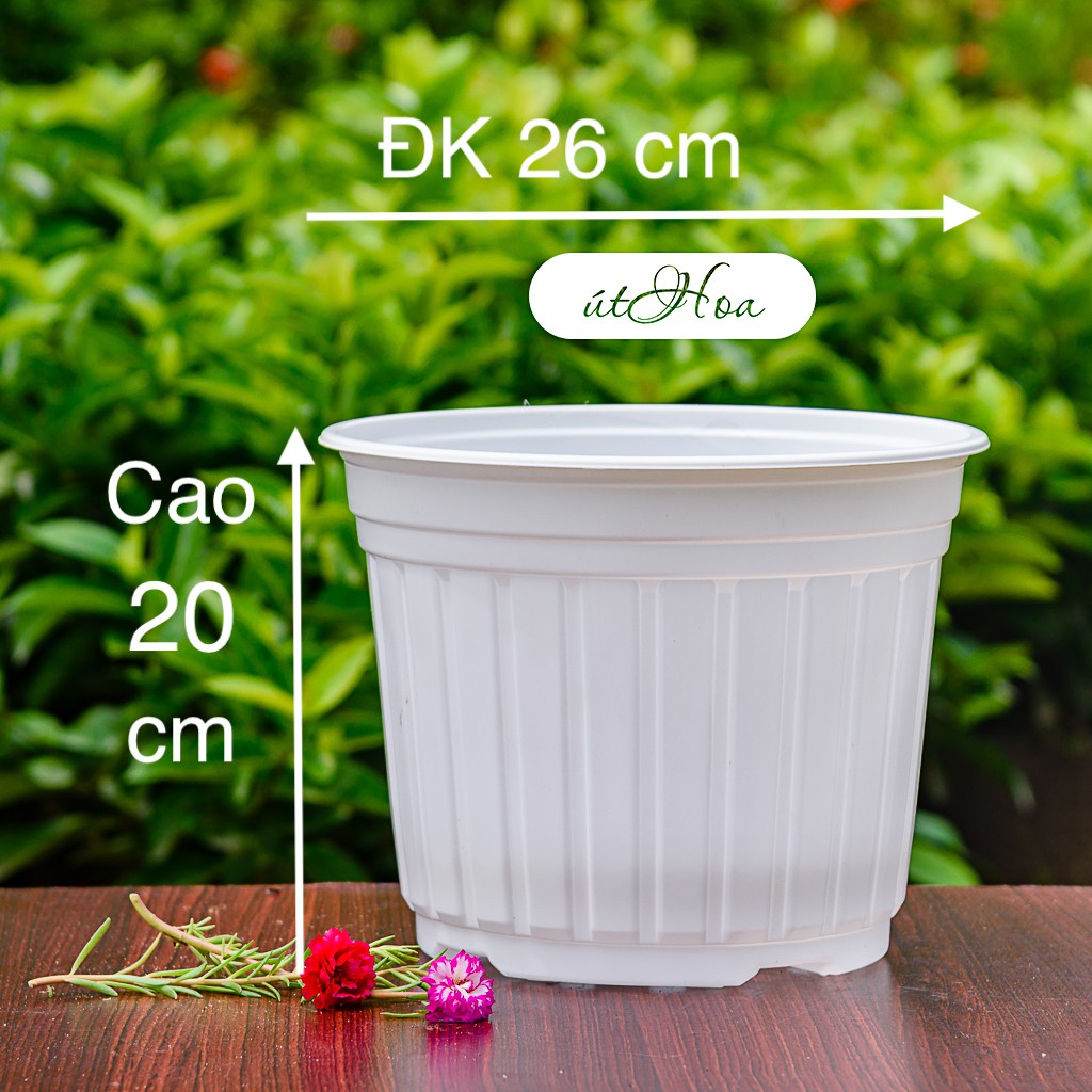 [ Sỉ từ 20 cái Chậu nhựa trắng T26 (26x20 cm) trồng cây, trồng hoa Nhựa cao cấp