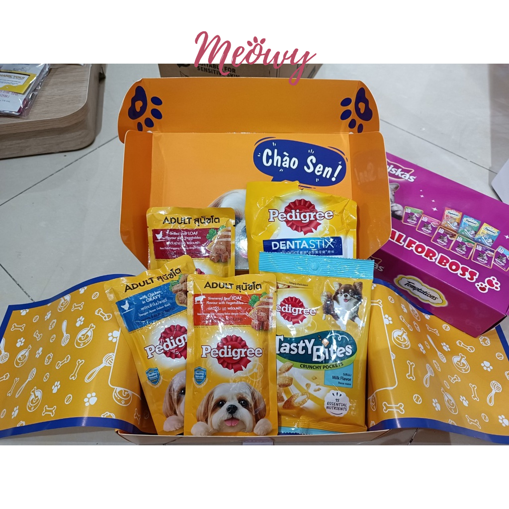 Hộp quà Giáng Sinh/ Tết cho chó mèo