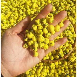 ĐẬU HÀ LAN VỊ SẦU RIÊNG TÚI 500GRAM