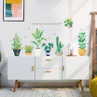 decal dán tường chậu cây