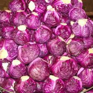 HẠT GIỐNG BẮP CẢI TÍM GÓI 100 HẠT