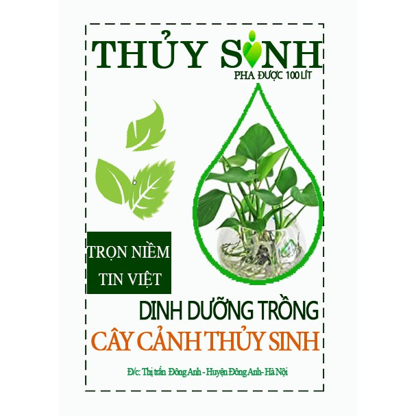 Dinh dưỡng trồng cây thủy sinh