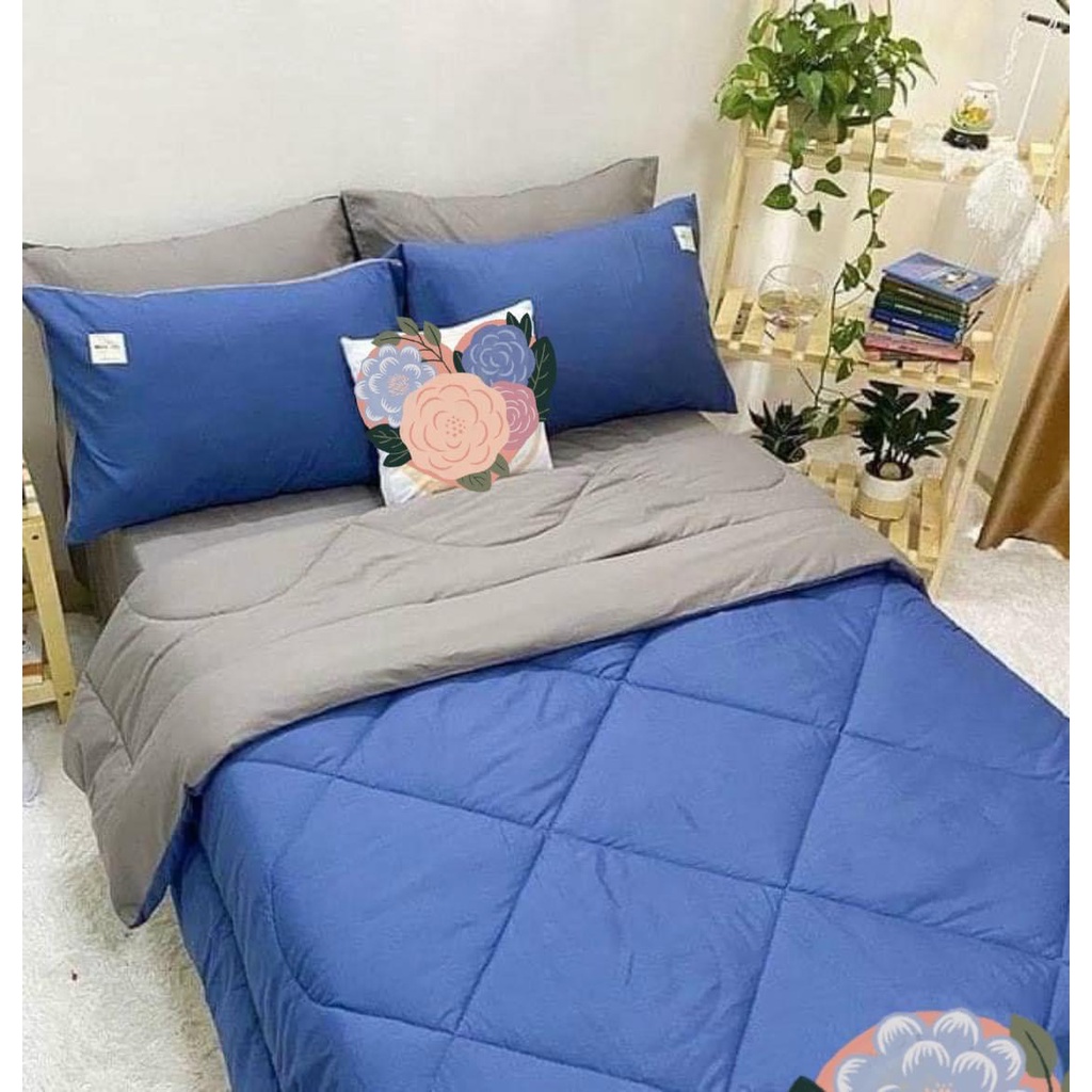 Bộ chăn phao trần bông dày êm và ga gối cotton tici phối màu trơn cao cấp