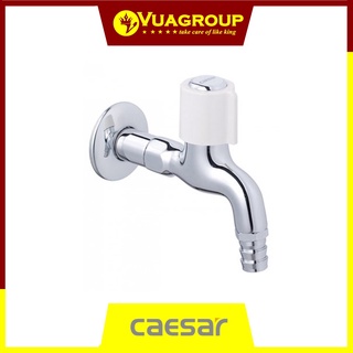 Vòi xả lạnh gắn tường Caesar WP037C