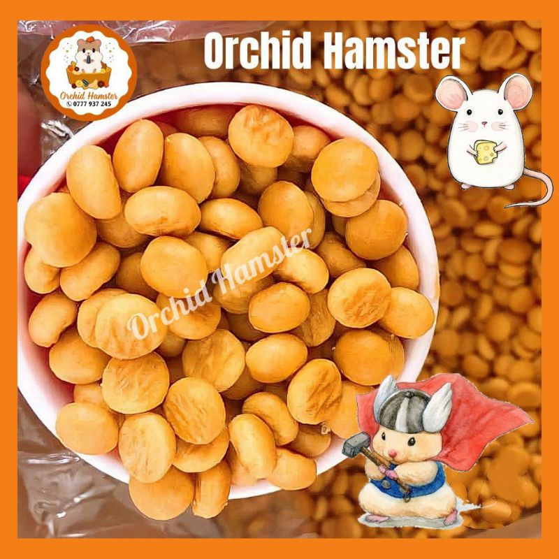 Bánh Phô Mai Tăng Vị Giác Cho Hamster