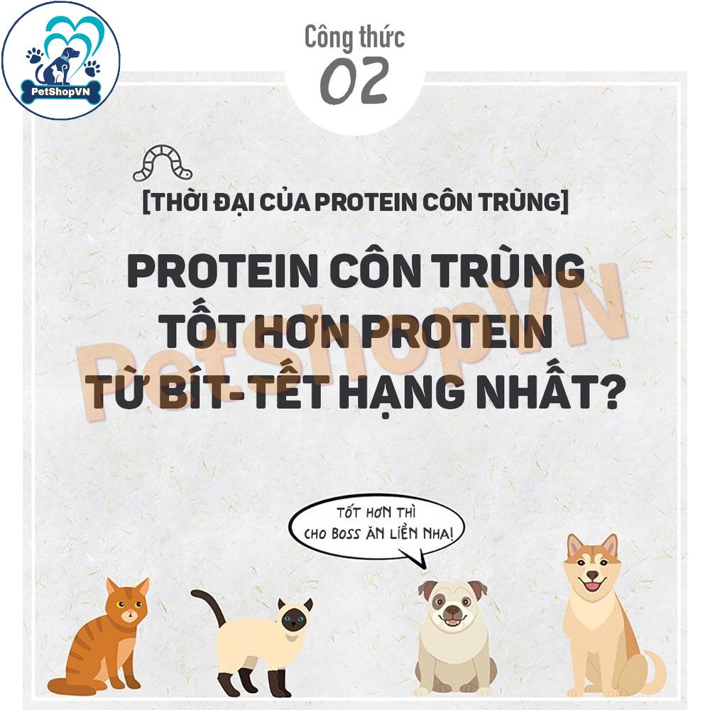 Thịt Cuộn Thanh Sữa Snack Cho Chó Mèo BOWWOW Túi 80G Vị Thịt Heo, Gà & Vịt