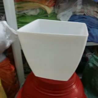 Chậu vuông 20cm giá hủy diệt