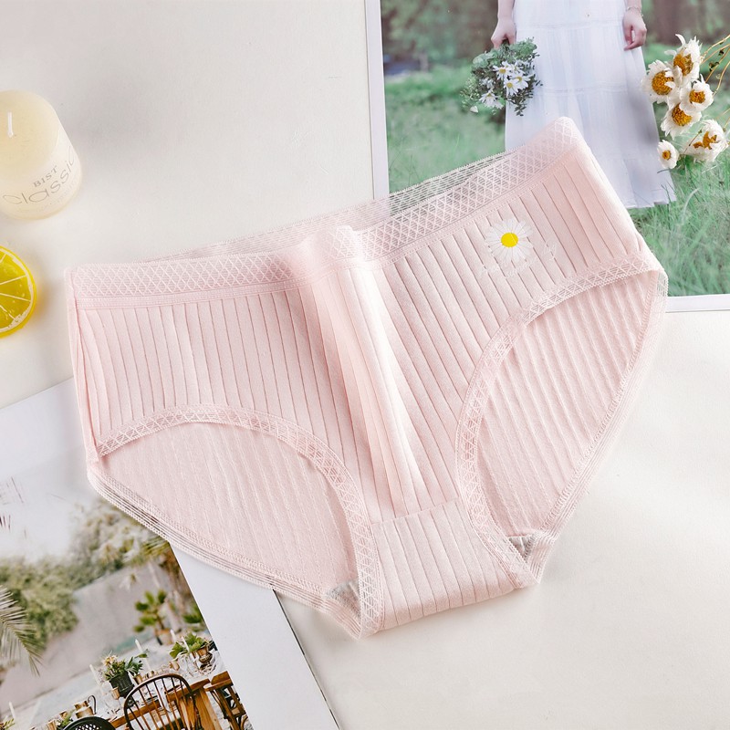 Quần Lót Cotton In Hình Hoa Cúc Xinh Xắn Cho Nữ | BigBuy360 - bigbuy360.vn