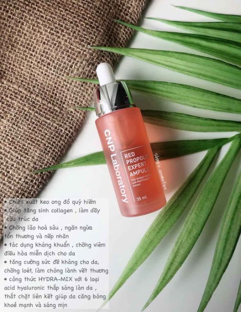 [Mã COS1904 giảm 8% đơn 300K] (#CNP) Tách sét bộ dưỡng keo ong đỏ CNP Laboratory Red Propolis | BigBuy360 - bigbuy360.vn