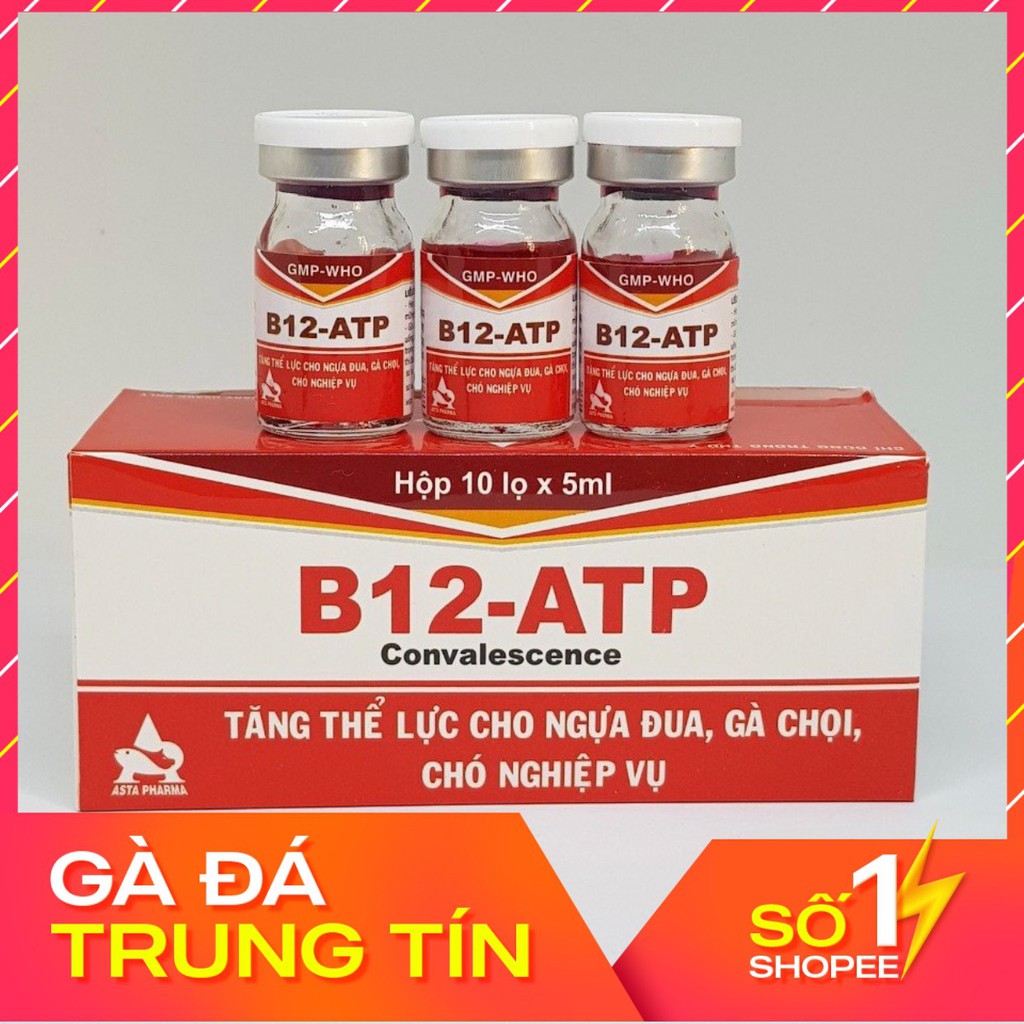 Combo 4 lọ Thuốc tăng B12 ATP