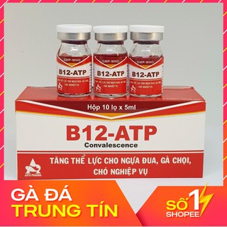 Combo 10 lọ thuốc tăng b12 atp
