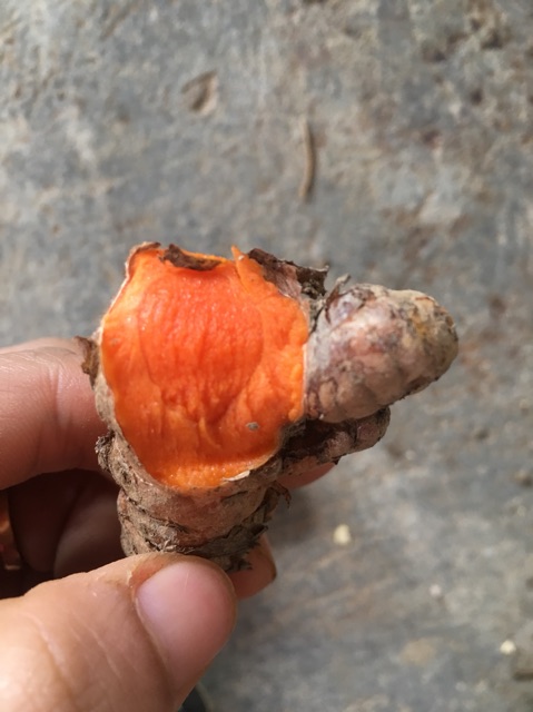Tinh Bột Nghệ 500gr | BigBuy360 - bigbuy360.vn