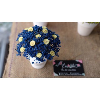 Lọ hoa Babi Bloom để bàn nhỏ