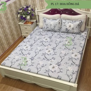 Bộ ga chun m6*2m và 2 vỏ gối đầu 45*65cm cotton poly SALE