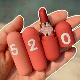 [SẴN] SET SON HENGFANG 520