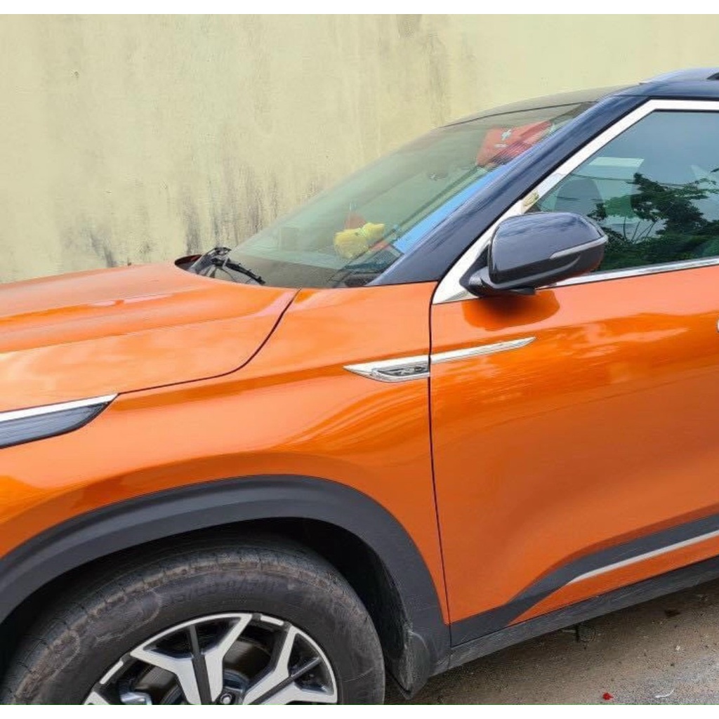 Ốp mang cá trang trí ô tô - Ốp dán mang cá ô tô hợp kim cao cấp tạo điểm nhấn cho ô tô - xe hơi