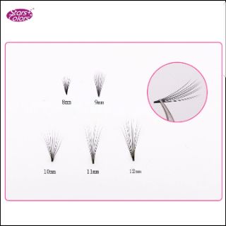 mi volume hoa sơn trà 9D mã xec015